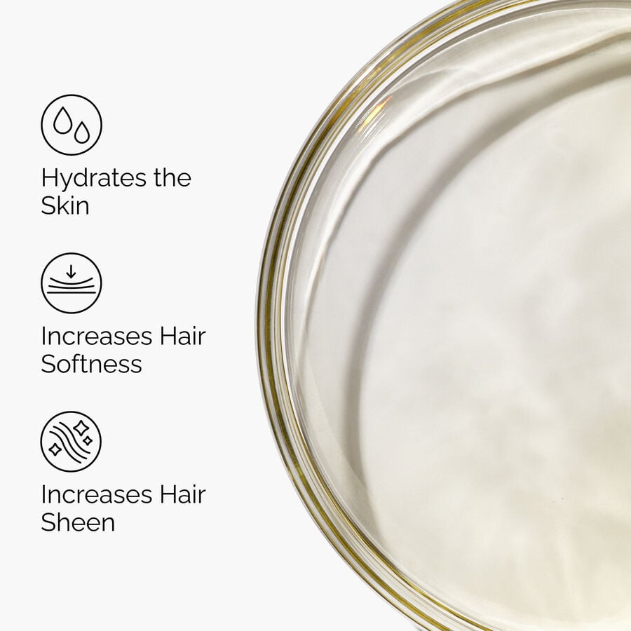 100-organic-cold-pressed-moroccan-argan-oil-e2 FY25-D41247-ORD-Web-PDP-100-Argan-Oil-1x1-EN-3.jpg
