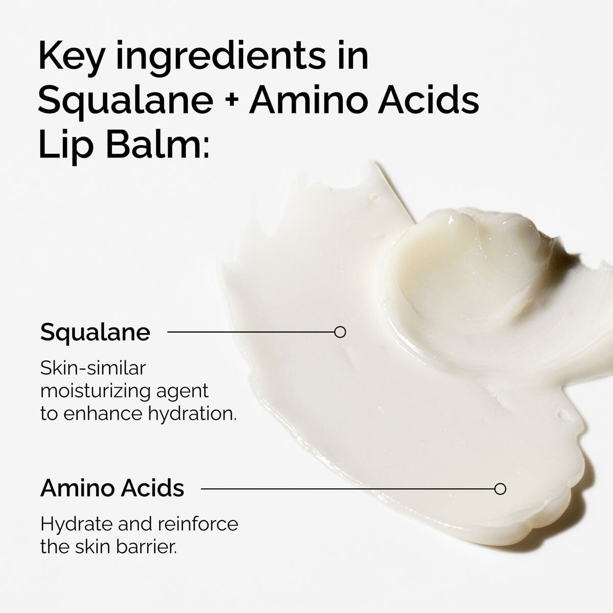 squalane-amino-acids-lip-balm-r8 FY25-D41247-ORD-Web-PDP-Sql-Amino-Lip-1x1-EN-2a.jpg