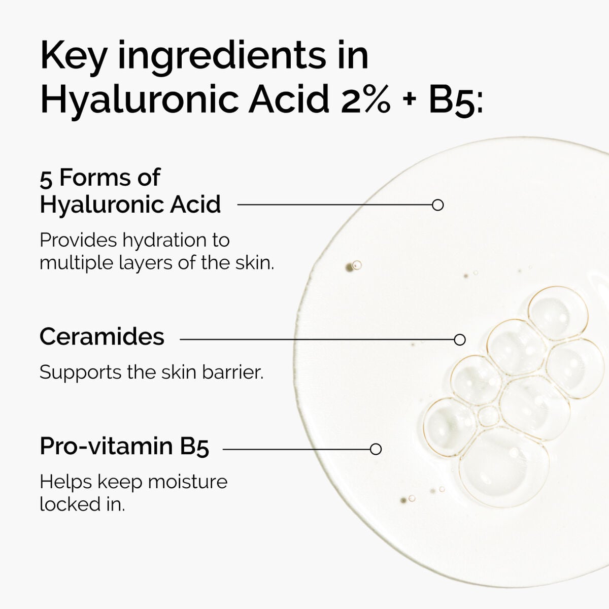 hyaluronic-acid-2-b5-with-ceramides-g9 ord-hyaluronic-acid-2pct-b5-hydrating-serum-ingredients-graphic.jpg